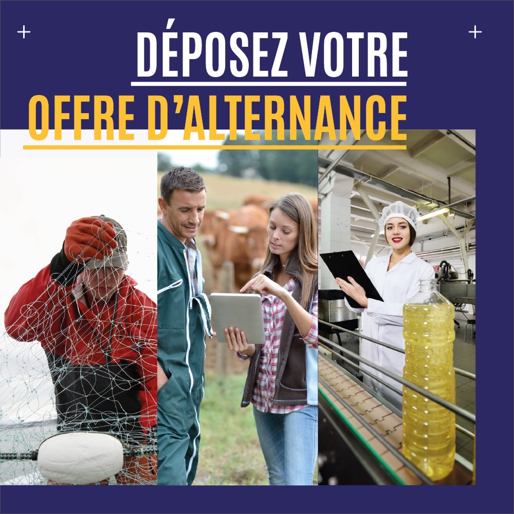 ocapiat's tweet photo. Trouver un(e) alternant(e) dans mon entreprise, comment faire ? 👩🎓
RDV sur nos job board partenaires pour déposer votre offre d’#emploi et la faire connaitre auprès de candidats !
#recruter1apprenti #capverslalternance #apprentissage
➡ https://t.co/qQhhOZtZFi https://t.co/qPcE5rc3kU