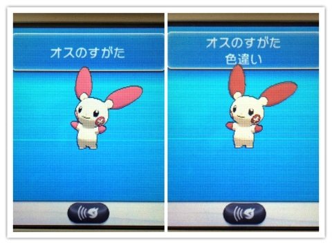 ポケモンgo プラスルの色違い 入手方法と実装状況 攻略大百科 ポケモンgo プラスルの色違い 入手方法と実装状況 攻略大百科