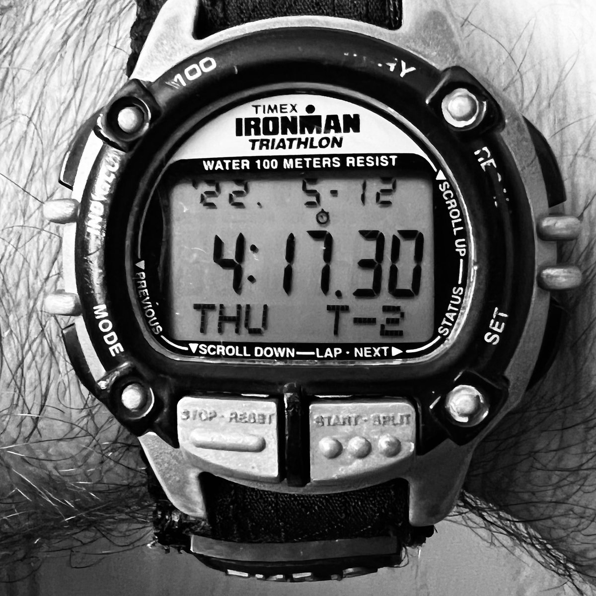jockowillink's tweet photo. Another day. 
Another gift. https://t.co/xCC4XCPwrS