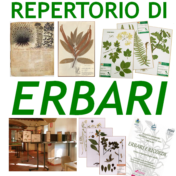 MonferGreenFarm's tweet photo. #PlantHealthDay
GIORNATA INTERNAZIONALE DELLA SALUTE DELLE PIANTE
#erbari composti e conservati con cura da ricercatori, esploratori e appassionati di ogni epoca in #Monferrato, #Piemonte, #Liguria, #Italia e nel #mondo
🟢 https://t.co/zQumHmzO92 https://t.co/UepchHaDtW