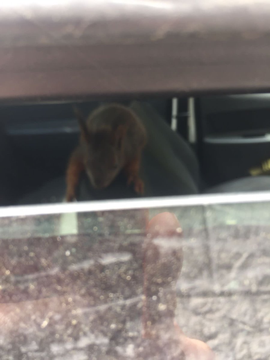 Екатерина tweet media