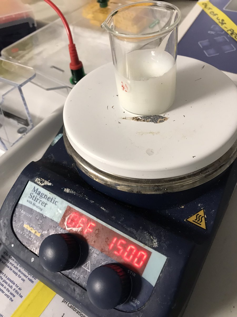 Is there any better anticipatory feeling than frothing your milk in the morning?