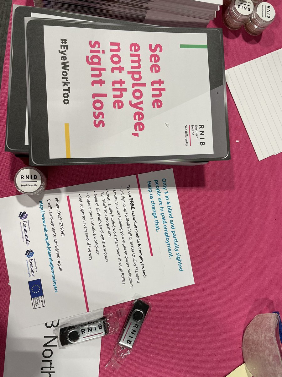 Come to talk to us about our FREE E-learning for employers #cipdNIConf22 <a href="/RNIBNI/">RNIBNI</a>