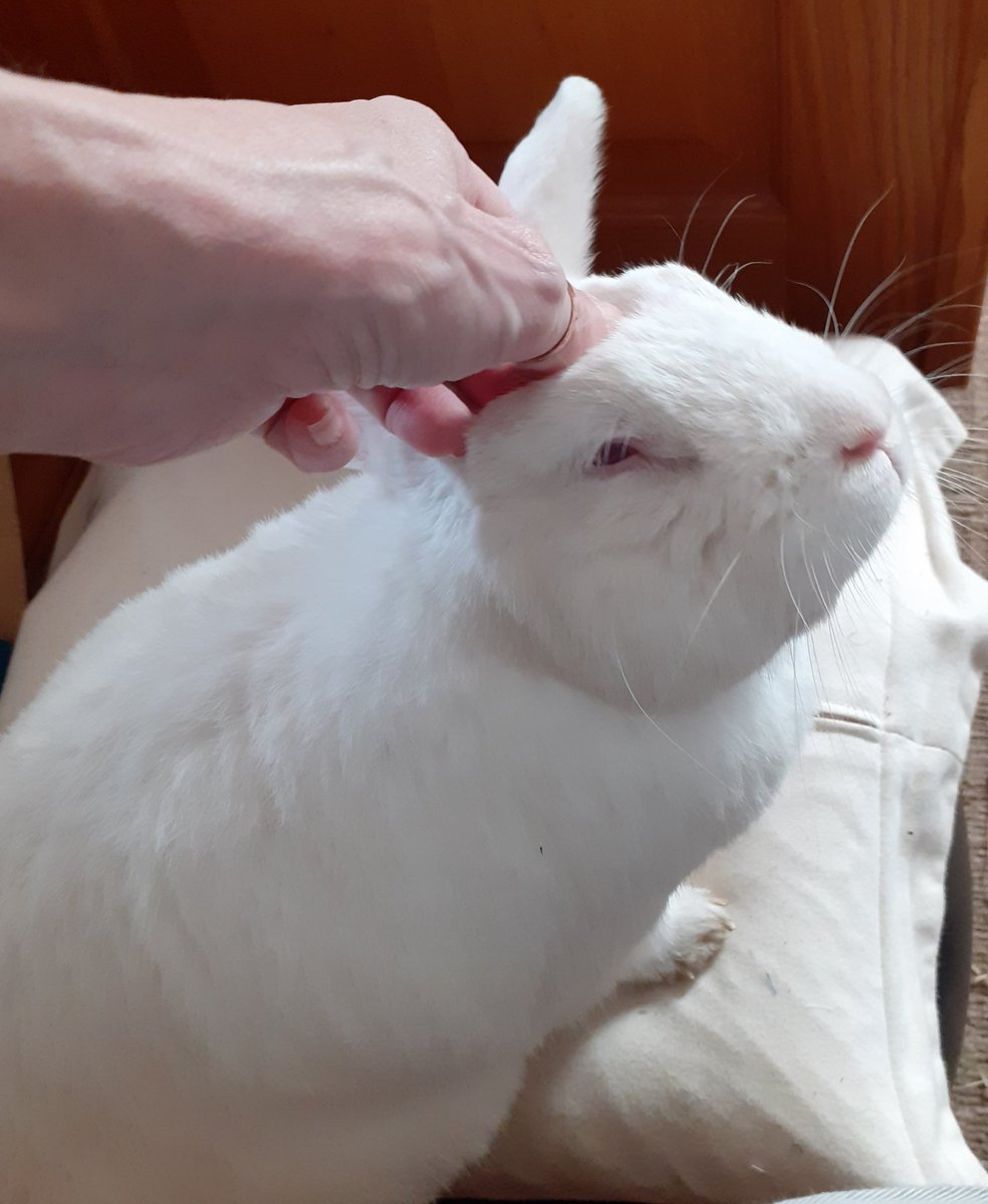 LeonardREW's tweet image. Morning!! What we up to today??