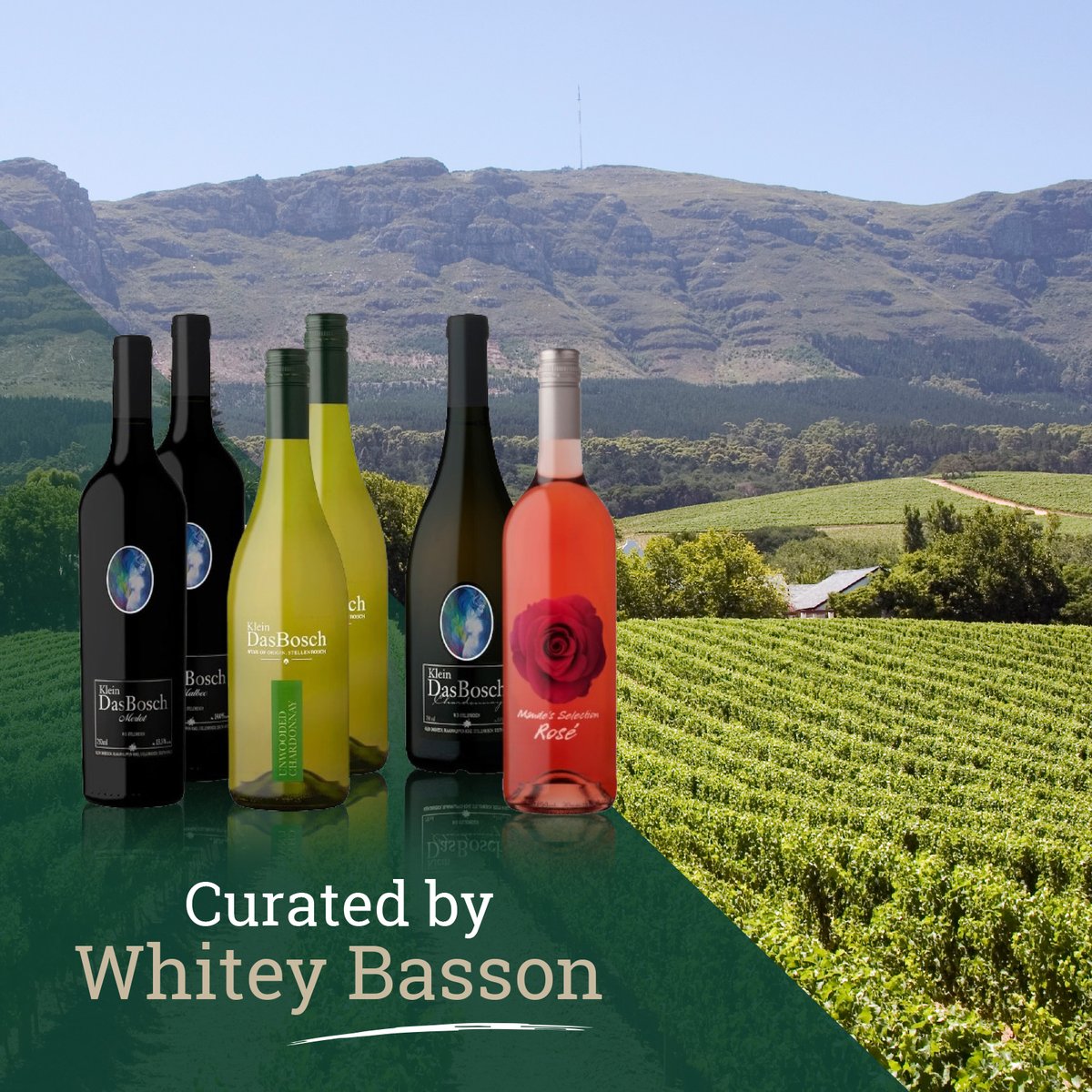 Our Klein Dasbosch mixed case is carefully curated by the legendary Whitey Basson. This case offers the perfect mix of red, white and rosé 🍷

Shop this mixed case here: bit.ly/39jSYUk

#TheWineFarmer #DieWynboer #WhiteyBasson #KleinDasbosch #SupportLocal