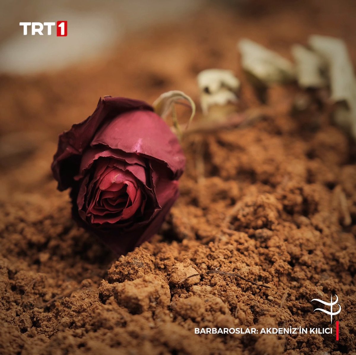 Bu gülü nerde görsek tanırız! 🥀 😔 #BarbaroslarAkdenizinKılıcı <a href="/trt1/">TRT 1</a>