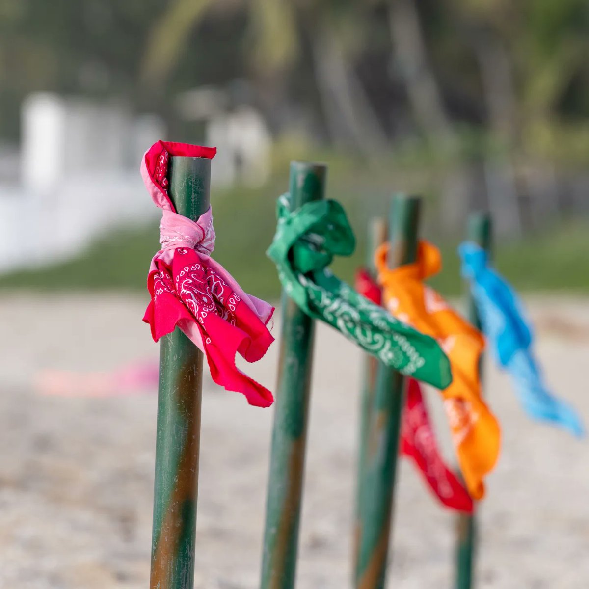 WhereezParis's tweet photo. Retour en images sur le Koh-lanta organisé la semaine dernière pour une grande entreprise Réunionnnaise.
Vous aussi vous souhaitez entrer dans le jeu ? Demandez votre Koh-lanta en MP ou sur https://t.co/rk2HHnmy9g 
#teambuilding #lareunion #reunionisland #iledelareunion https://t.co/6NL8n7CyFV