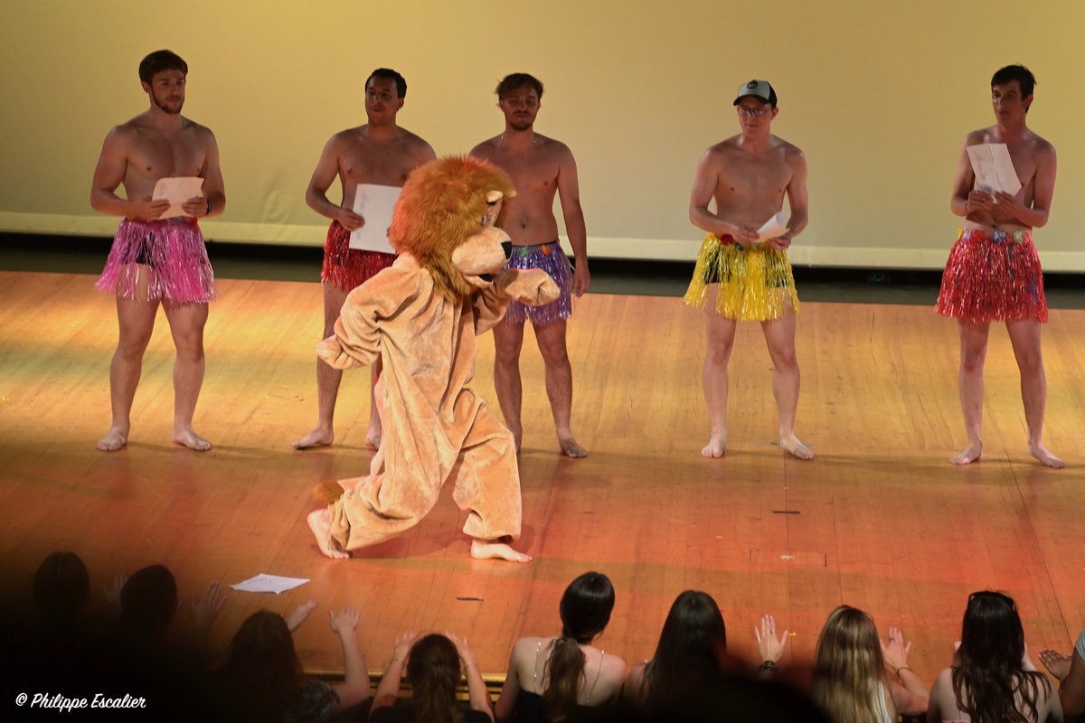 Sensitif, Philippe 🇫🇷🇺🇦 tweet media