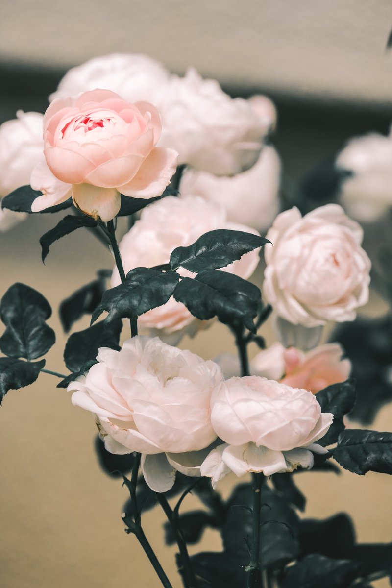 Love has many forms.