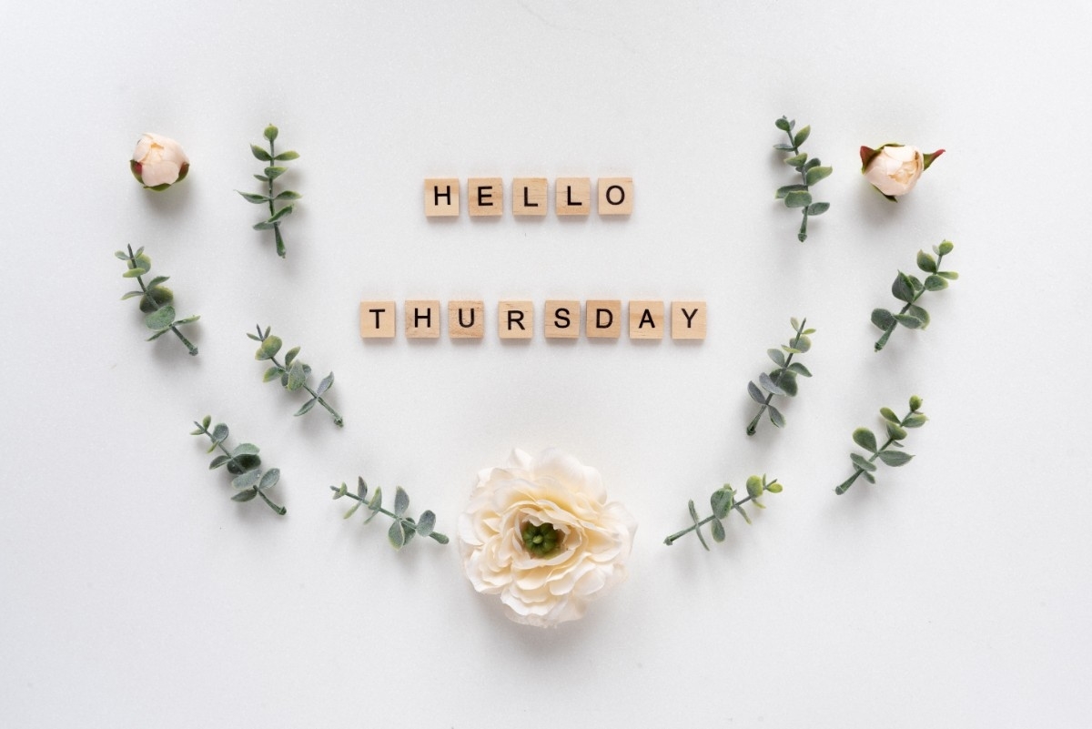 InigoBCLeeds's tweet photo. Hello Thursday, another day closer to the weekend. https://t.co/cDmYUM6hTI