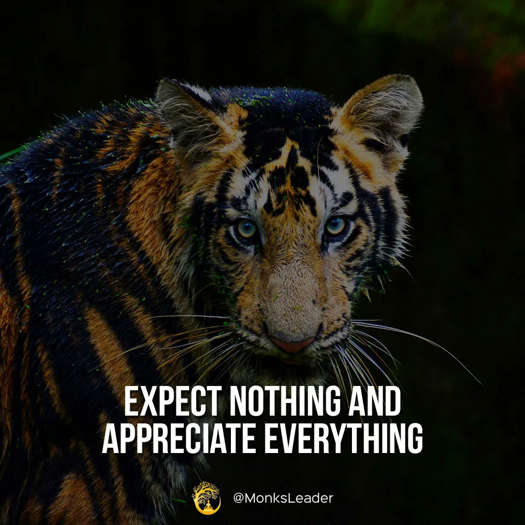 Appreciate the little things

#success #motivation #youareready #risk #reward #wearewealthy