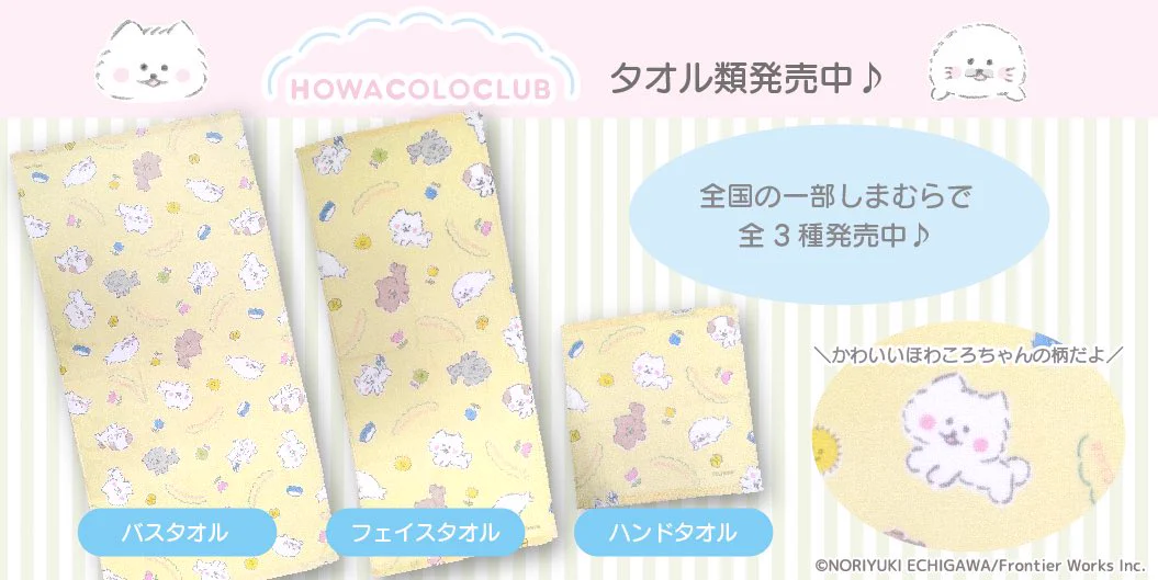 えちがわ のりゆき on X: 