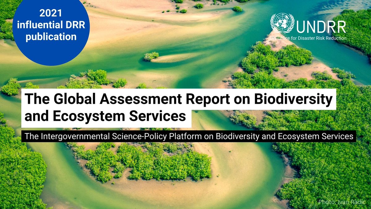 UNDRR's tweet photo. The impacts of the climate crisis on people and nature are increasingly apparent. This @IPBES report shows how we can address both biodiversity loss and #ClimateChange.  https://t.co/hP9EzebMk2 https://t.co/Q50yiJuHH7