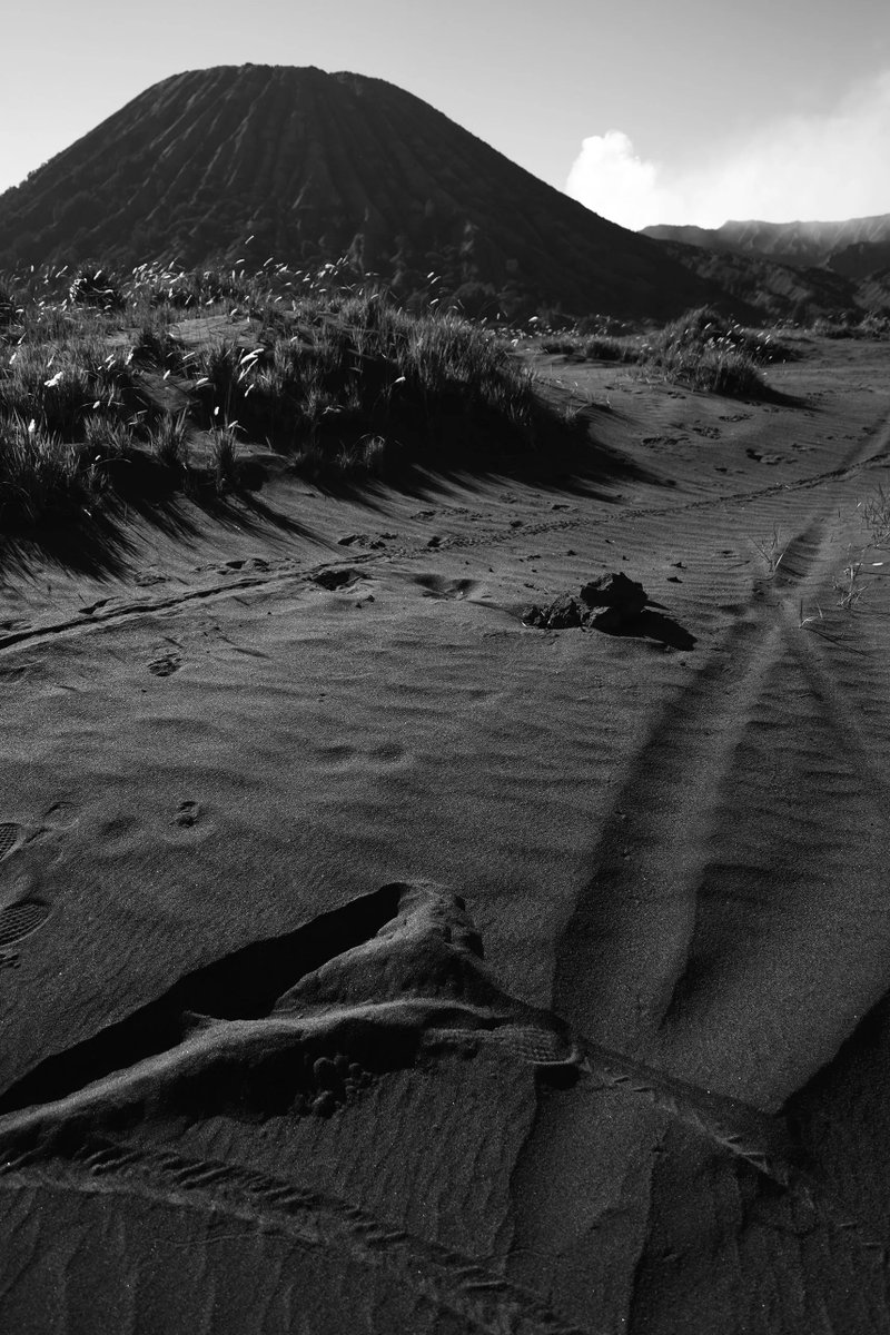 furearts's tweet photo. #50 - Sabana

Photograph in black and white

https://t.co/NAVtKbguNt
#NFT #NFTCommunity #nftphotography #NFTCollection #NFTProject #nftcollector #NFTdrop #photography #monochrome #voyage #blackandwhitephotography #art #photographer 
#photographygalery #sabana #travel #bromo https://t.co/QASQ8myrSc