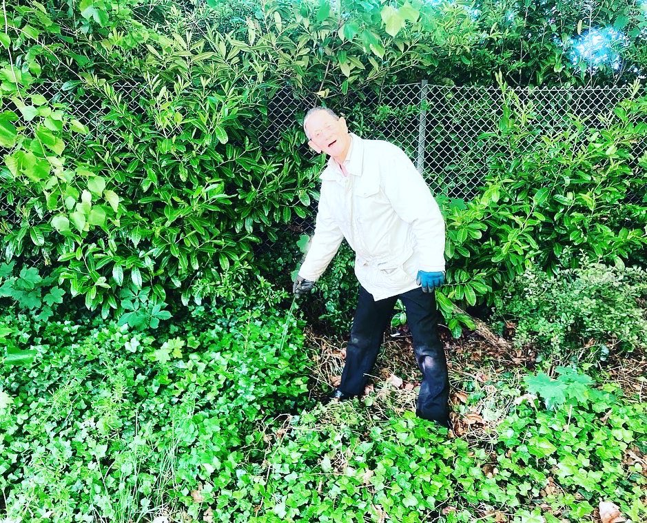 Lovely scenes from a cracking <a href="/goodgym/">GoodGym</a> task well done last night! Thanks and well done all 🍃❤️🍃 Full report is here: goodgym.org/reports/ivy-be… <a href="/Joanne13Harding/">(((Joanne Harding)))</a>