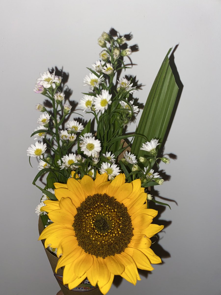 Es la primera vez que alguien que no es mi papá me regala flores y me siento especial ajjaja