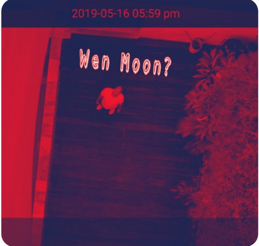 One of my early nfts more relevant now 😆 Crypto trader looking up to the sky wondering #whenmoon #HODL <a href="/JVee_3/">JVee</a>  date check ✔️ ✅️