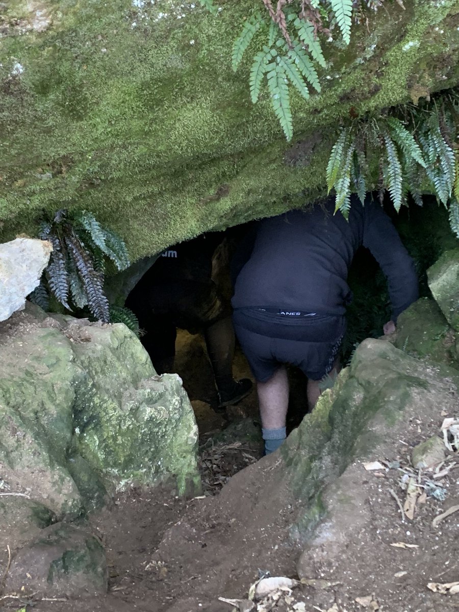 PalaeoSeds's tweet photo. Did some caving today. Squeezed along some limestone tunnels, got a wee bit muddy, met some gorgeous cave wētā, saw some huge spiders… All in all an excellent day for a tiny geologist that is normally scared of small spaces and the dark. 10/10, would do again 🦗 🕷 https://t.co/MjTP2YFL0R
