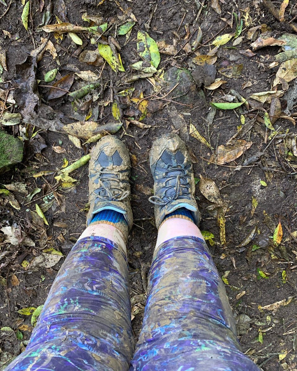 PalaeoSeds's tweet photo. Did some caving today. Squeezed along some limestone tunnels, got a wee bit muddy, met some gorgeous cave wētā, saw some huge spiders… All in all an excellent day for a tiny geologist that is normally scared of small spaces and the dark. 10/10, would do again 🦗 🕷 https://t.co/MjTP2YFL0R