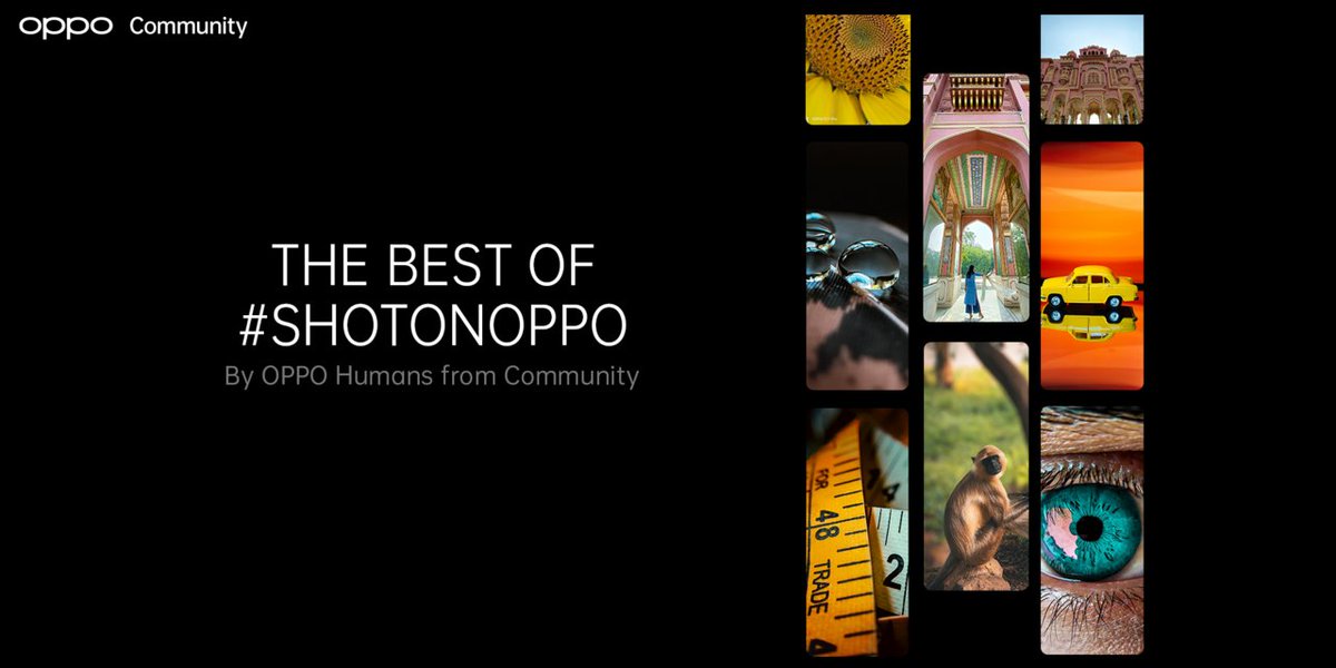 OPPOIndia's tweet photo. We love how you share your beautiful #ShotonOPPO moments with us, and now's the time we showcase it all.
Join the OPPO community and keep spreading the joy: https://t.co/cNu6WqwZit https://t.co/PX0LMv5dWu