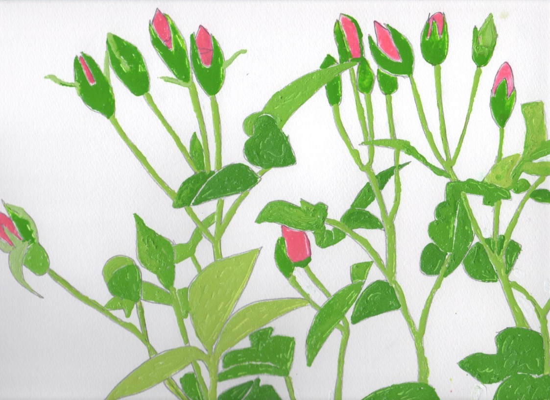 تويتر 蓑島えみ 11月11日から16日hbギャラリーで個展開催 على تويتر つるバラのつぼみ 22 5 12 花 Flower つぼみ バラ つるバラ 蓑島えみ Emiminoshima Minoshimaemi イラスト イラストレーター Illustration Drawing Painting 絵 T