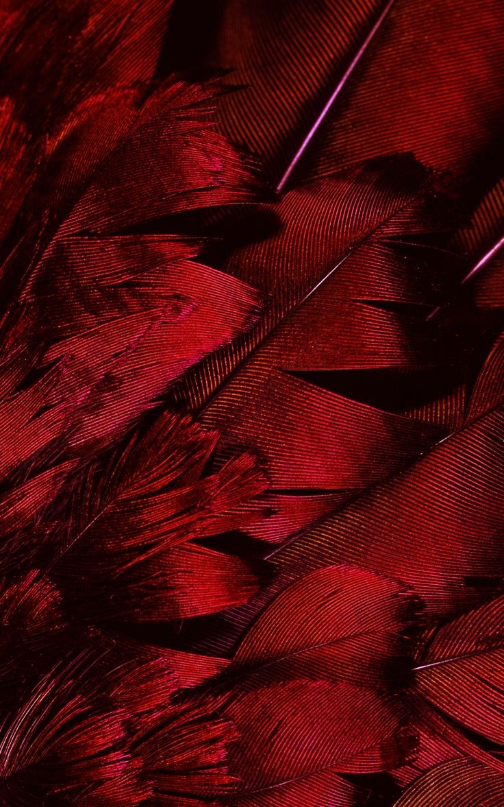 ⠀

⠀⠀“𝕀 𝕕𝕠𝕟'𝕥 𝕥𝕙𝕚𝕟𝕜 𝕀'𝕞 𝕥𝕣𝕒𝕤𝕙𝕪, 𝕀 𝕛𝕦𝕤𝕥 𝕝𝕚𝕜𝕖 𝕥𝕠 𝕔𝕙𝕚𝕝𝕝.”

⠀