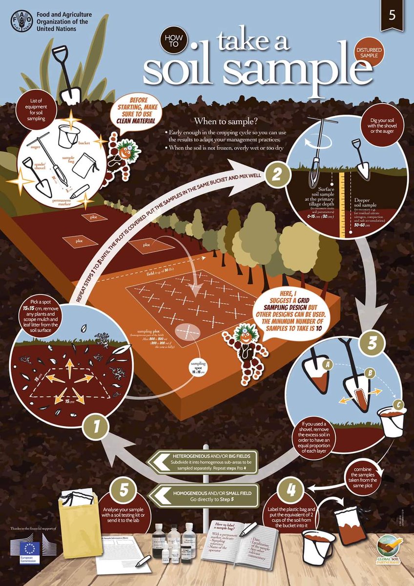 #SoilAnalysis is key to crop quality, itself instrumental to #FoodSecurity Take a look below and discover the necessary equipment and methods for a perfect soil sampling! 🤎 📌 Download the poster ➡️ tiny.cc/nuoutz
