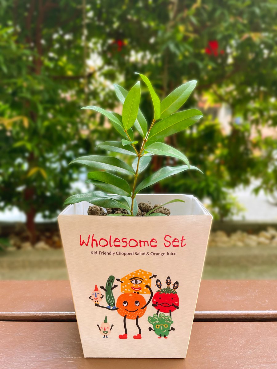 worldbrandesign's tweet photo. Tham Chu Yin - Student packaging Design Concept for Wholesome Set by Tham Chu Yin
.
https://t.co/ABPMYFncKn
.
#foodpackaging #packagingdesign #worldpackaging #packagingconcept #branddesign https://t.co/9E02cxNWj8