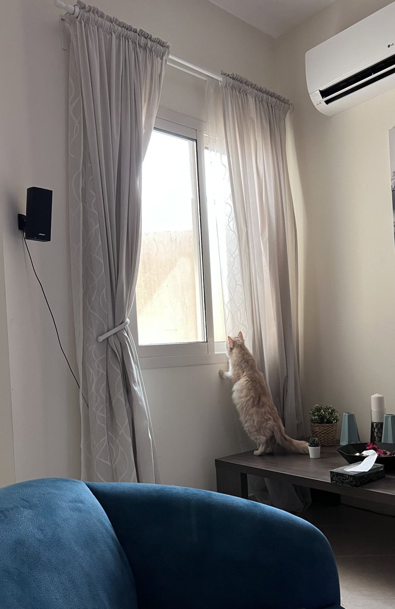 FTS_64's tweet photo. Lucile looking for trouble! #RaisedWell #Badass https://t.co/fV1Leie3yb