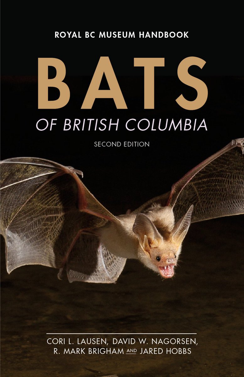 amazingplacepod's tweet photo. Our #WeekOnWednesday picks #1: 
12th - Museum After Hours: #GoingBatty @RoyalBCMuseum
12-15 - @BCBoatShow, Port Sidney Marina
13-15 - #BuccaneerDays @EsquimaltRec Bullen Pk
til 14th - #CurbAppeal @GorgeTillicum Burnside nghbrhd
14/15 - North Quadra Community Weekend, Beckwith Pk https://t.co/1YhauEzDYZ