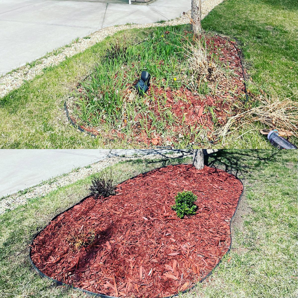RackedLandscape's tweet photo. Tree-wells and flower beds  #treewell #yyc #landscape #satisfaction https://t.co/OeyL3mQd45