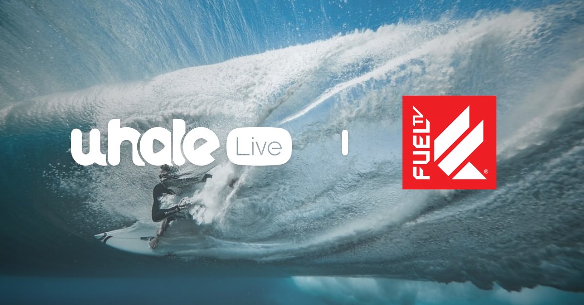 We are so happy to announce that FUEL TV teams up with ZEASN to launch streaming channels worldwide on #WhaleLive  👏 

Read more about this partnership here 👇
lnkd.in/exEUwi6G

#ZEASN #WhaleOS #WhaleEco #FUELTV #streamingmedia #avod #smarttv #channels #ott