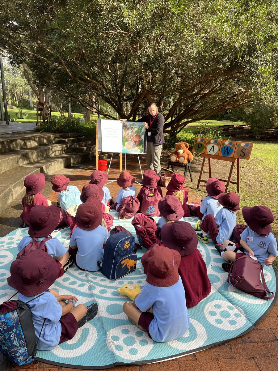 Kambora Public School tweet media