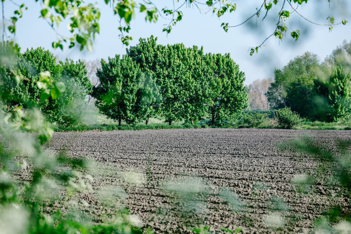 Life ACLIMA tweet media