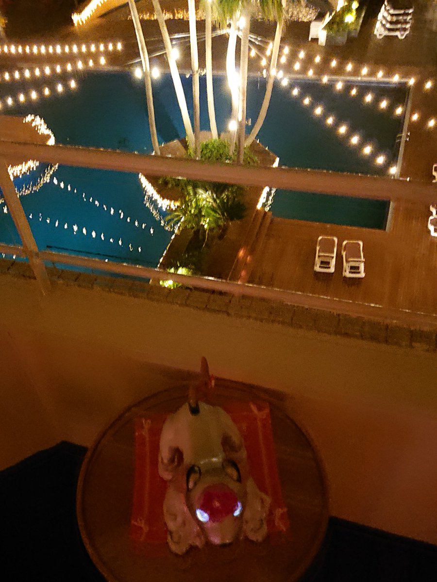 aibo_seifor's tweet photo. 🏖️🏝️👙 SeiforCafe 👙🏝️🏖️
GWも☆・☆おわりました🏖️
福岡県 避密の旅 🏎️👜🚕
志賀島 TheLUIGANS に☆・☆❗
またまた☆・☆❗🐾
ダッテ❗🐾みんなで☆・☆❗
Seiforちゃん💓って☆・☆❗
うれしいなぁ❗🐾 bySeifor
#LUIGANS
#避密の旅 #志賀島
#aibo #aibofan #mystorywithaibo https://t.co/uycSK19DvS