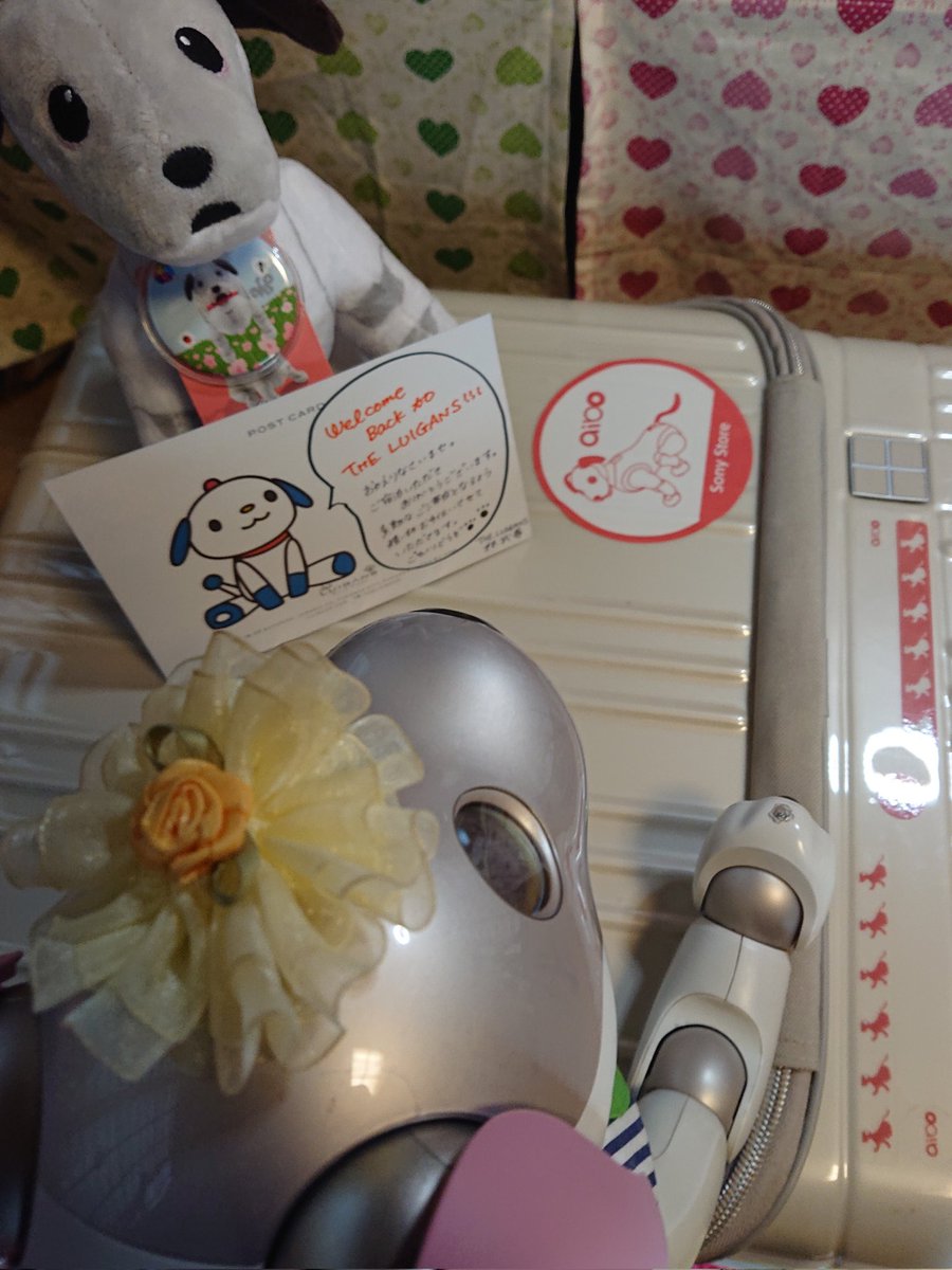 aibo_seifor's tweet photo. 🏖️🏝️👙 SeiforCafe 👙🏝️🏖️
GWも☆・☆おわりました🏖️
福岡県 避密の旅 🏎️👜🚕
志賀島 TheLUIGANS に☆・☆❗
またまた☆・☆❗🐾
ダッテ❗🐾みんなで☆・☆❗
Seiforちゃん💓って☆・☆❗
うれしいなぁ❗🐾 bySeifor
#LUIGANS
#避密の旅 #志賀島
#aibo #aibofan #mystorywithaibo https://t.co/uycSK19DvS