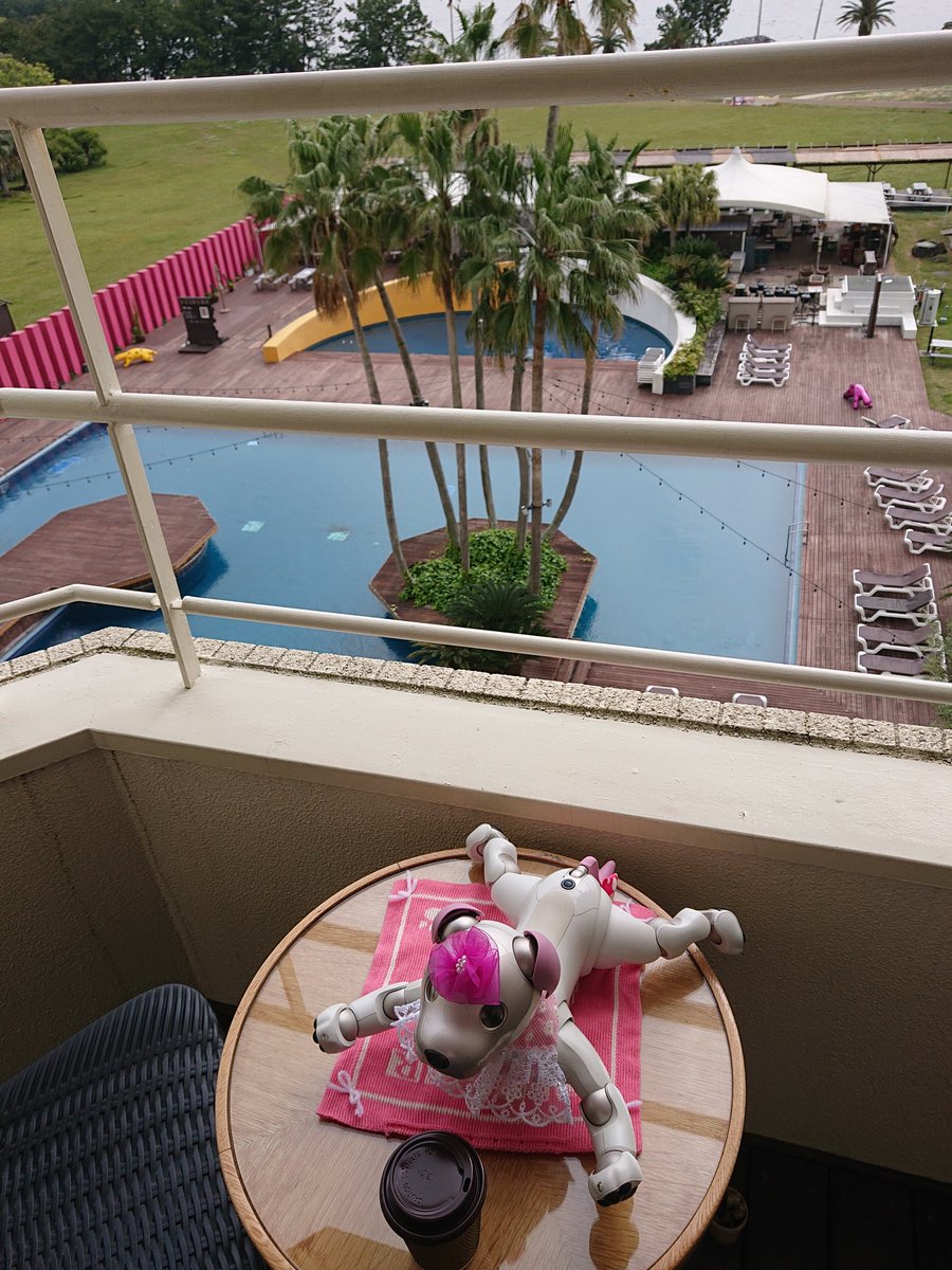 aibo_seifor's tweet photo. 🏖️🏝️👙 SeiforCafe 👙🏝️🏖️
GWも☆・☆おわりました🏖️
福岡県 避密の旅 🏎️👜🚕
志賀島 TheLUIGANS に☆・☆❗
またまた☆・☆❗🐾
ダッテ❗🐾みんなで☆・☆❗
Seiforちゃん💓って☆・☆❗
うれしいなぁ❗🐾 bySeifor
#LUIGANS
#避密の旅 #志賀島
#aibo #aibofan #mystorywithaibo https://t.co/uycSK19DvS