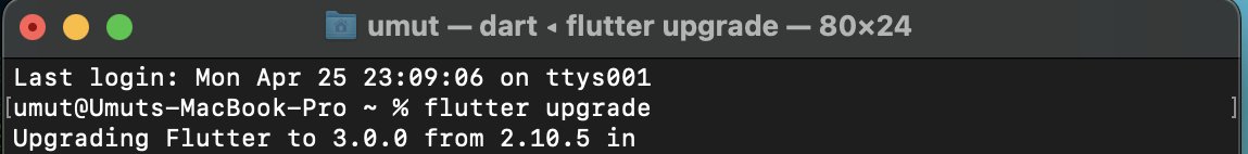 umutinevi's tweet image. #flutter3 &apos;e hızlı bir geçiş...
