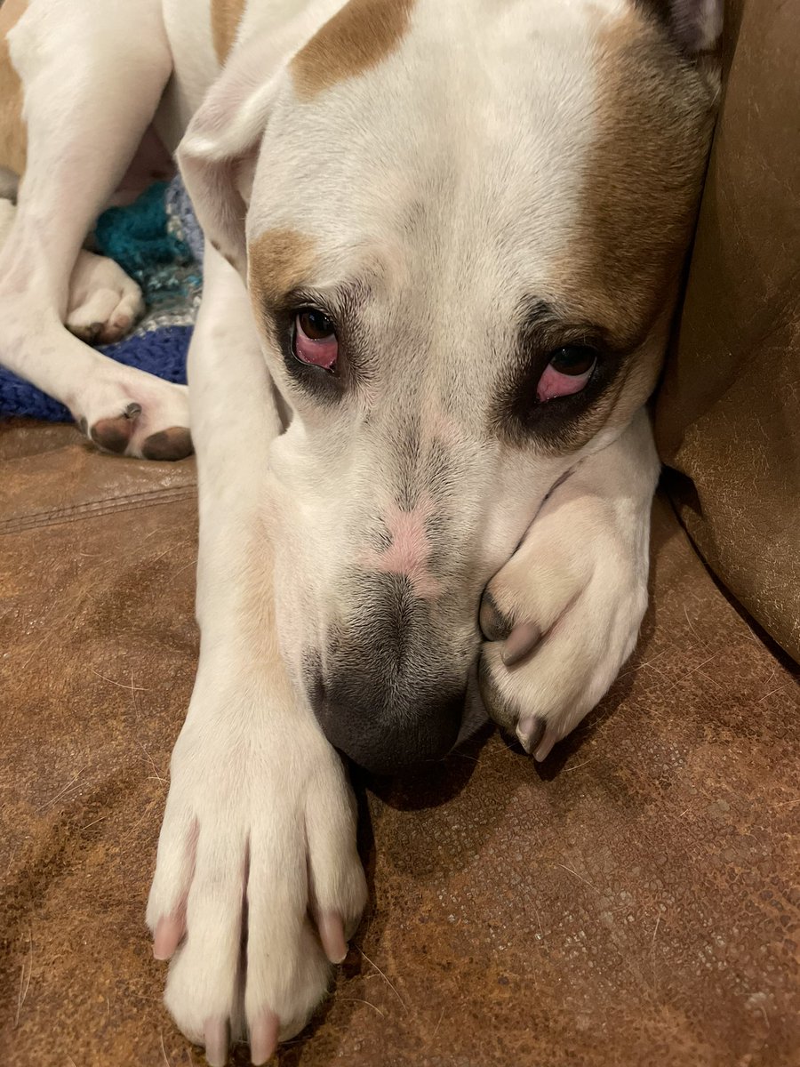 HalfGlass tweet media