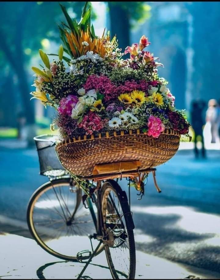 "لا تُعامِل الله بِالقلق ، عامِلهُ بِاليقين ، ليُعامِلك بِالمُعجزات