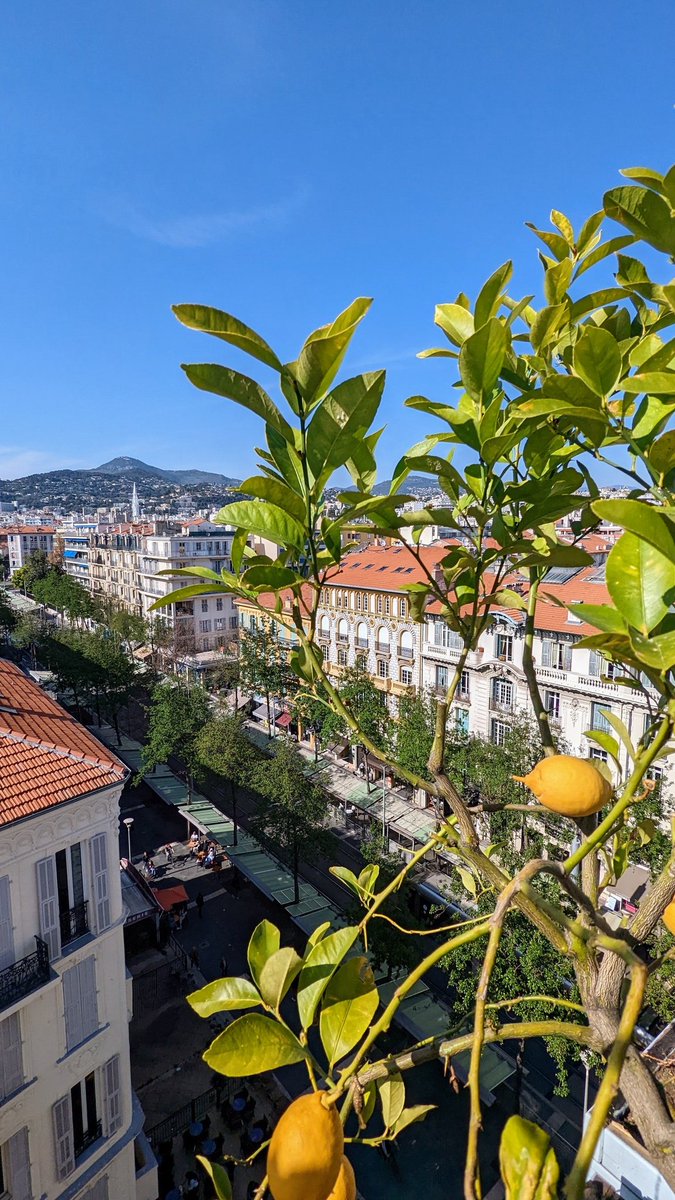 SorayaBahsoun's tweet photo. Vue d'en haut du quartier de la Libération #Nice06
Très belle journée 😊☀️
#JeudiPhoto #NissaLaBella #ExploreNCA #CotedAzurFrance https://t.co/18kUDynIN0