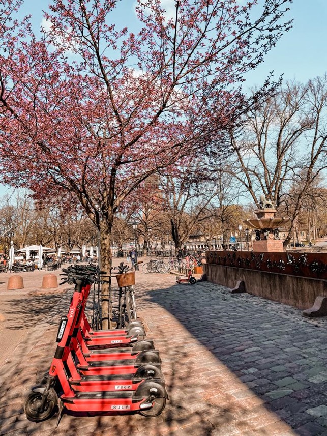 EcommTurku's tweet photo. Good morning from Turku! We are very excited to be hosting you in less than 3 weeks.🥳

Last days to get your tickets! Remember to purchase them by next Tuesday, 17th of May. https://t.co/pU6ozJdnfF

Come meet your fellow professionals!❤️

#ECOMM2022 #ECOMMTurku #ECOMMTurku2022 https://t.co/JqDRxCjUwP