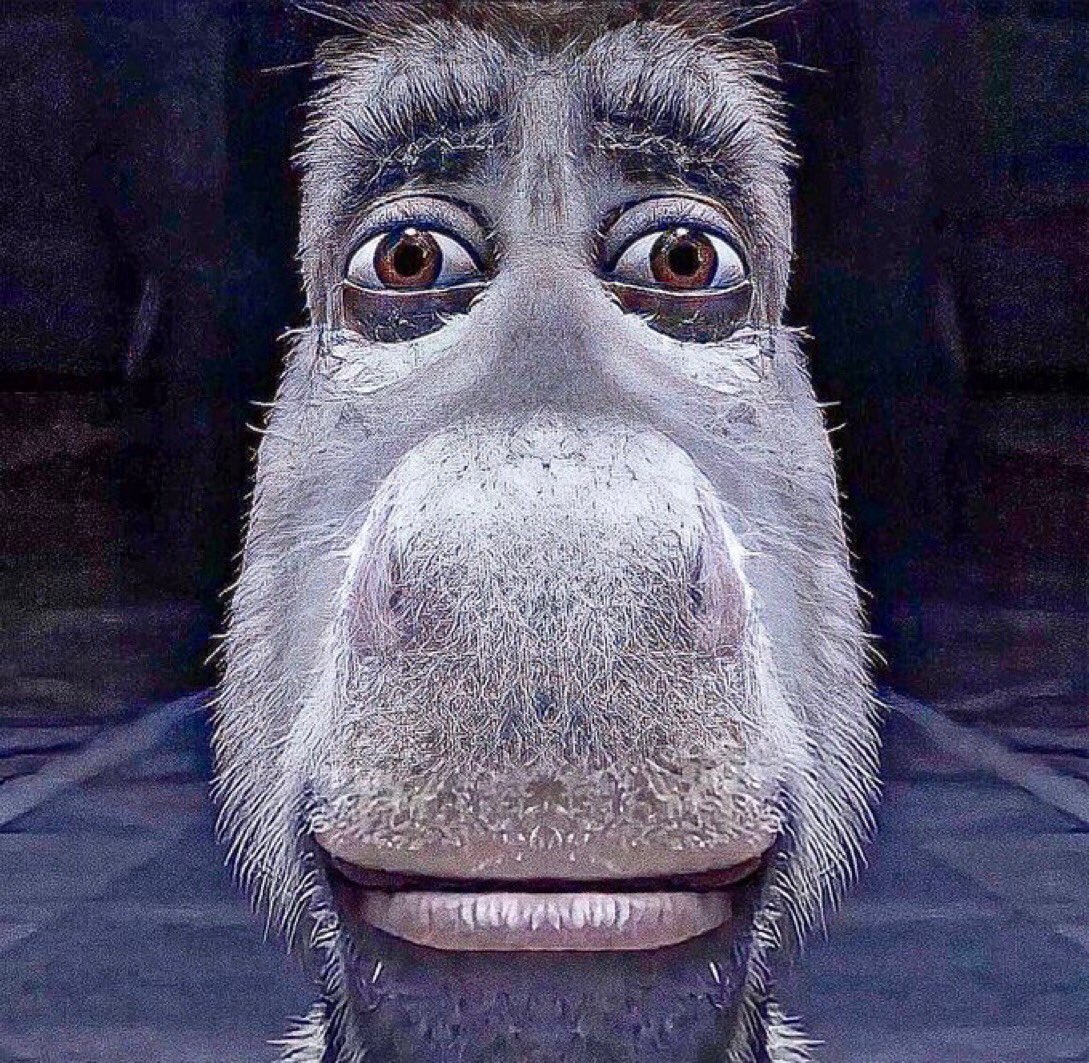 ItsAMeZen's tweet photo. @YourRAGEz Tell me everything is alright https://t.co/Rat3Zwh5tI