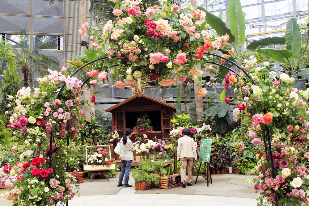 Osaka_Tabilog's tweet photo. 明日から3日間、#咲くやこの花館 では華やかなバラの祭典「#大阪ばら祭 2022」が開催されます🤗
およそ3000本のバラの楽園をお楽しみいただけるほか、バラツアーやバラにちなんだワークショップ、苗の販売も。😀💮🏵🌹
https://t.co/A2JoBIMWLa https://t.co/CGcgBXcS0o