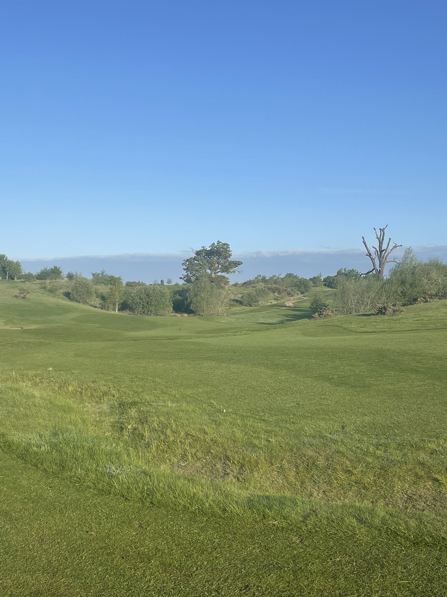 A little different from yesterday #golf #greenkeeping