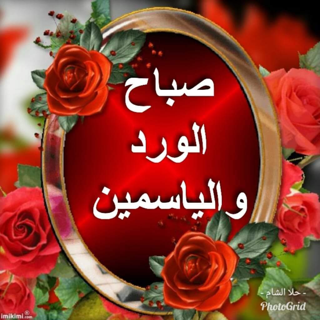 no_____or_a's tweet photo. @Baghdadicon الافضل السوري 
عطره اقوئ وعمره اطول https://t.co/opk3Iib5Zq