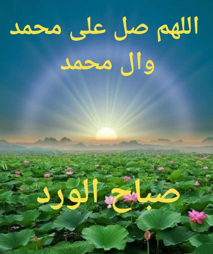 no_____or_a's tweet photo. @vJw3l4qfeyKcYtp @r9gr4 https://t.co/tDO60vIDMQ