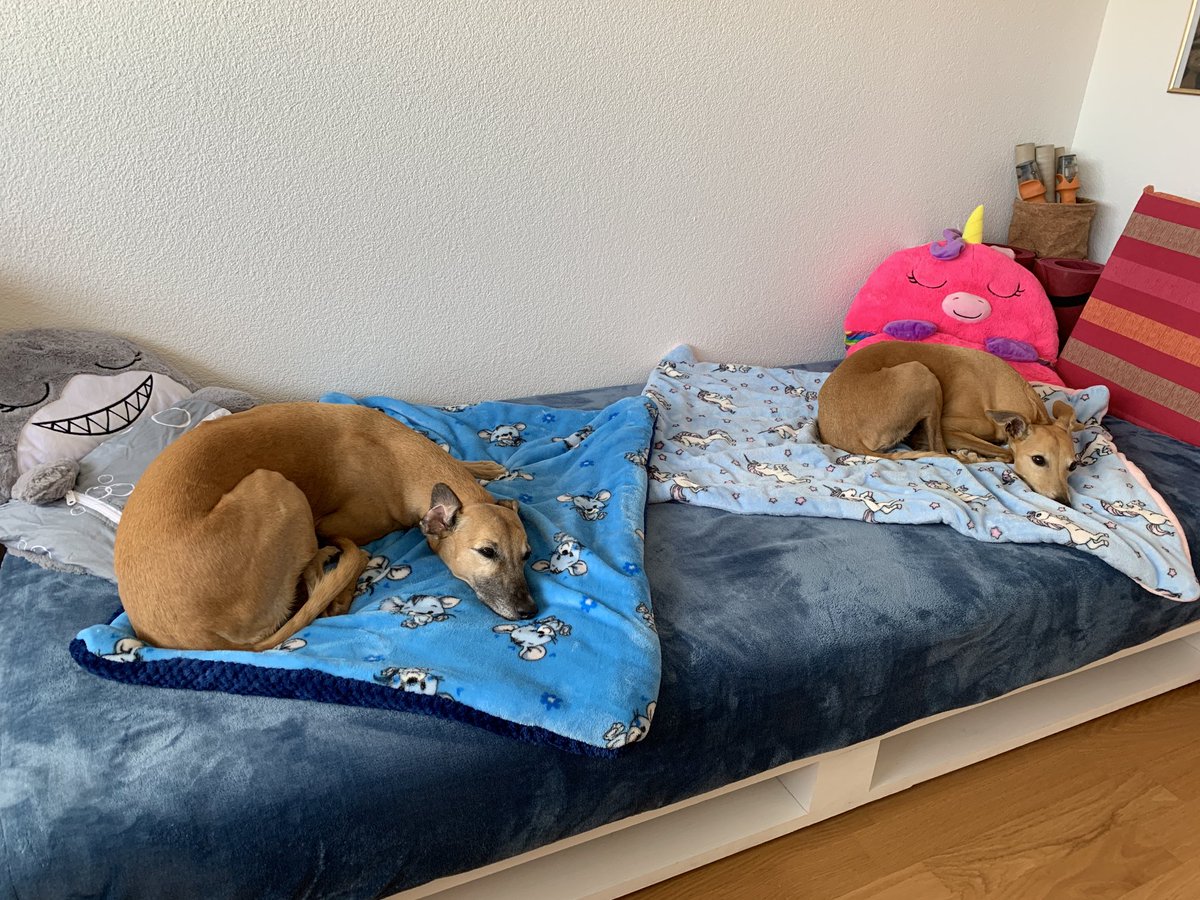macgossau's tweet photo. Ist #HomeOffice nicht schön 🤩 https://t.co/QKFMsGsmN5