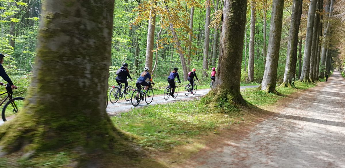 Our women's cycling club is organising a chilled ride this Sunday in the 'Tuscany of Belgium' - Pajottenland ☀️🚴‍♀️ 

Are you a woman with a bike in #Brussels? Join us ☺

We'll stop for ☕🍰  at a lovely independent bike shop/cafe in Halle 🚲

casualcyclingclub.be