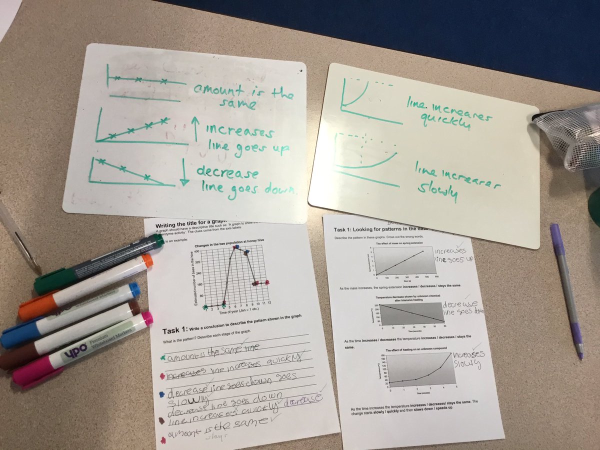 ParkTeaching's tweet photo. In science students developed their graph skills and learnt about the mechanics of the pinhole camera. #thisisAP #mathssuperlearningday https://t.co/mo8UmlwIYn